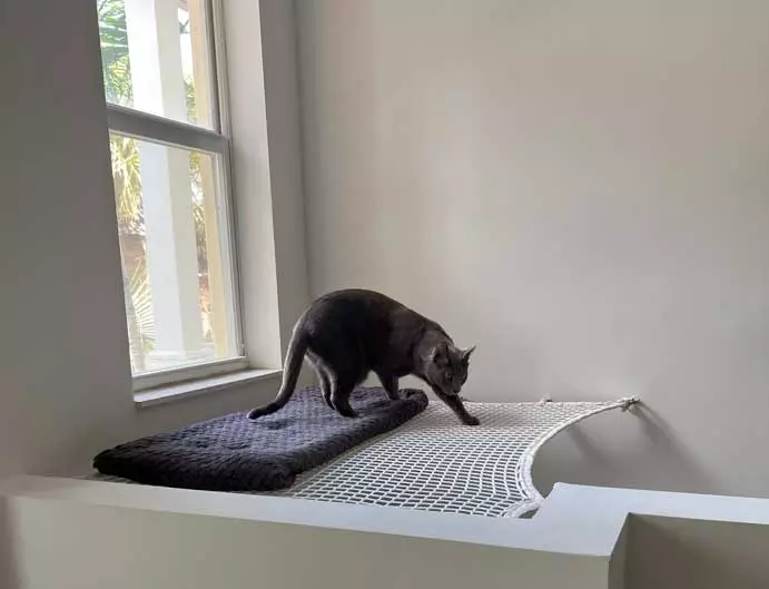 ATN Architectural Net for Cat (Catnet) pet enclosure