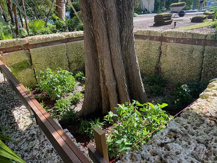 Tree net architectural installation, before and after versatility demo