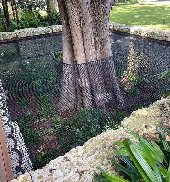 Tree net architectural installation, before and after versatility demo
